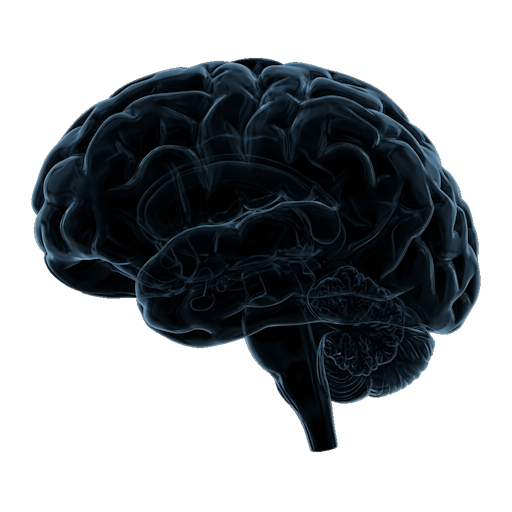 TopBrain Logo